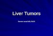 Liver Tumors Basic