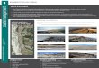 Ocean Beach Coastal Management Framework Update