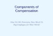 Components of Total Compensation