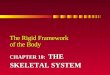 Chapter 10 the Skeletal System - Sp10 (2)