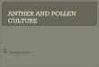 Anther and Pollen Culture