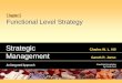 Strategic Management 05-06-07_08 Functional Business Competitive Industry Global Strategies