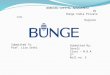BungePPT 2.Pptx 00323