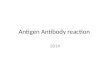 Antigen Antibody Reaction 2014