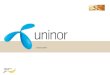 18 Oct 2010 - Uninor Project Presentation
