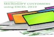 Microsoft Customers using Excel 2010 - Sales Intelligence™ Report