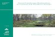 Forest Landscape Restoration in Central and Northern Europe