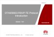 OTA058003 RSVP-TE Protocol Introduction ISSUE1.00