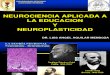 1 Neuroeducacion y Plasticidad Arequipa 2014