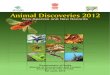Animal Discovery 2012