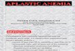 Aplastic Anemia(KBK)