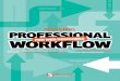 Professional Workflow