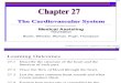Chapter 27 the Circulatory System