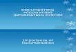 Ais-documenting Accounting Information System PPT