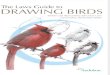 Laws Guide to Drawing Birds Sample