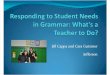 Responding to Student Needs in Grammar
