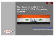 US Army Doc on Syrian Electronic Army