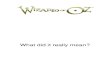 Wizard Of Oz_What did it really mean.pdf