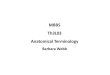 Anatomical Terminology - King's.pdf