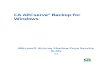 CA ARCserve Backup Para Windows Microsoft Volume Shadow Copy Service Guide