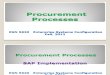 Enterprise Sys Procurement Process