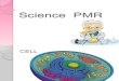 Science PMR