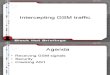 GSM Interceptor bh-dc-08-steve-dhulton.pdf