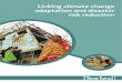 Linking CCA and DRR