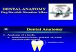 A06 Dental Anatomy