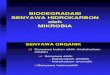 03.Biodegradasi Senyawa Hidrokarbon Mikrobia