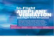 Inflight Airplane Vibration