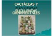 Cactáceas y Suculentas Ornamentales - Dr. Adalberto Di Benedetto
