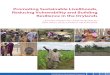 Promoting Sustainable Livelihoods: Reducing Vulnerability and Building Resilience in the Drylands  Lessons from the UNDP Integrated  Drylands Development Programme
