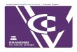 Vanguard Communications - Branding for Social Change
