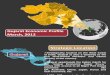 Gujarat Economic Profile March 2012