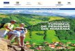 Caracteristicile unei marci in devenire: Turismul de pensiune din Romania