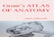 Grant’s ATLAS OF ANATOMY 2