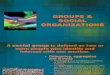 8 Groups and Social Organizations