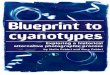Blueprint to Cyanotypes p1-22