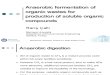 Anaerobic Fermantation Organic Wastes Biopxenor