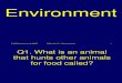 7c Environment Science Quiz
