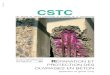 Reparation Et Protection Des Ouvrages en Beton. NIT 231. 2007 - CSTC - BE