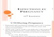 infection in Pregnancy.pdf