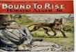 Bound to Rise - Horatio Alger