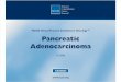 Pancreatic Cancer Guideline