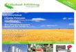 Global Milling Advances November 2012 Issue