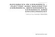 Advances in Ceramics - Electric and Magnetic Ceramics Bioceramics Ceramics and Environment