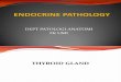 Endocrine Pathology, UMI