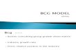 Bcg Model& Ge--lecture 8