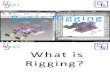 What is Rigging ( Rigging Definition )